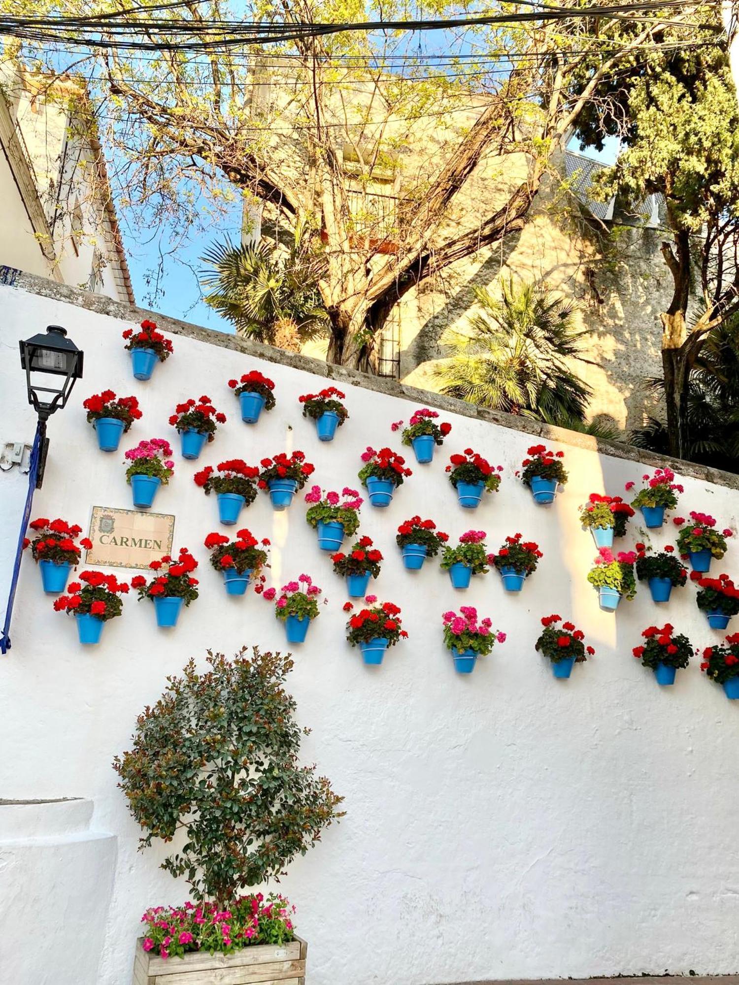 Studio Oasis In 2º Line Beach In The Centre Of Marbella - Eaw Homes ภายนอก รูปภาพ